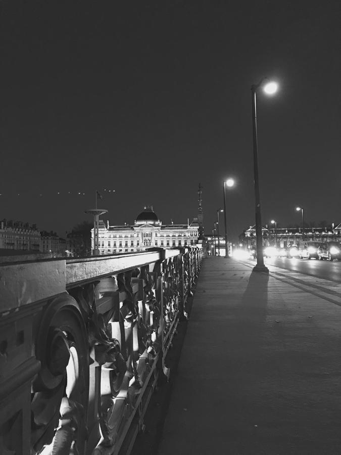 Mon Appart A Villon-Monplaisir Lyon Buitenkant foto